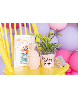Rooting For You Flower Arrangement